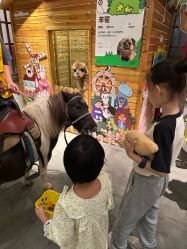 -造物庄园 萌宠纪(苏州湾歌林公园店)