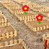 六一狂欢｜团购太优惠啦!｜一起到户外呼吸新鲜空气和萌宠玩吧！