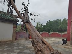 -玉泉观