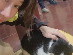 -长春观斋补堂素菜馆
