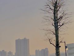 -太平洋咖啡(海天驿站店)