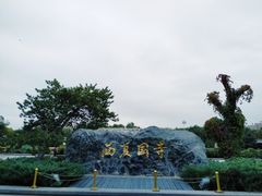 -张掖大佛寺景区