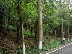 -滴水岩森林公园