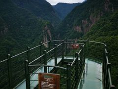 -龙湾潭国家森林公园