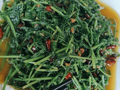 -汤锅大王(新平曹苏黄牛汤锅有限公司)