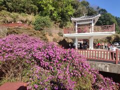 -广州市石门国家森林公园