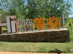 -白洋淀景区