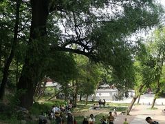 -阳台山自然风景区