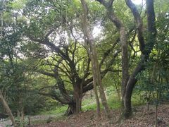 -双龙潭生态运动景区