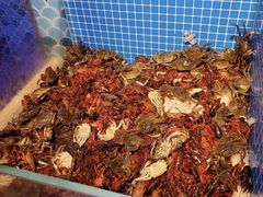 -乔哥铭洋海鲜自助(皇城恒隆广场店)