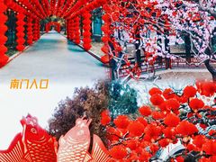 -地坛公园