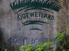 -华侨城湿地公园