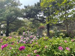 -国家植物园南园