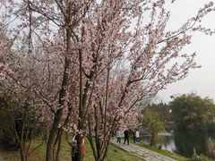 -贵阳市花溪国家城市湿地公园