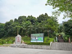 -天鹿湖森林公园