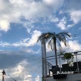 🤭集合所有吐槽点于一身的网红餐厅