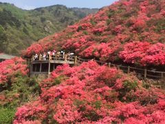 -木兰云雾山