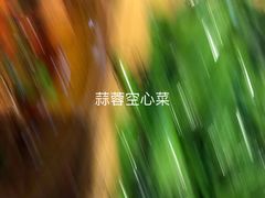 -庭院小酌(瑞莲街店)