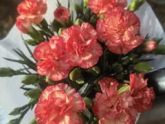 -二荆条·蜀鲜汇城市森林火锅