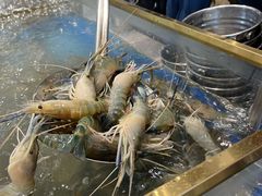 -半岛听涛蒸汽海鲜自助(K11店)