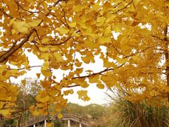 -白鹭湾湿地公园