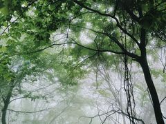 -终南山南五台景区