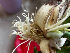 -溪岸路花鸟市场