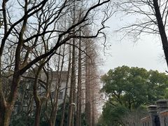 -苏州大学(天赐庄校区)