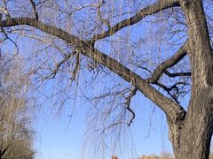 -程府宴(南长街四合院店)