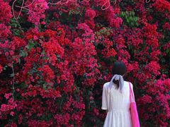 -厦门国家会计学院