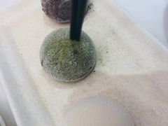 -元气寿司(金光华店)