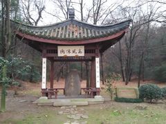 -宝界山林公园