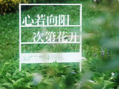 -云溪植物园