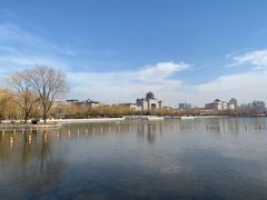 -莲花池公园