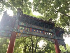 -北京国子监胡同