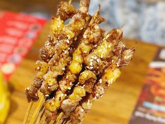 -馋嘴猫北京食堂·烤鸭·宵夜(亚运村店)
