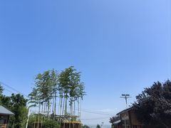 -少华山国家森林公园