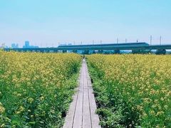 -光明小镇欢乐田园