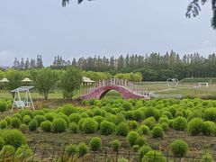 -嘉北郊野公园