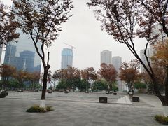 -重庆市江北嘴中央商务区中央公园