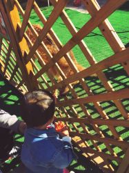 -萌宠亲子动物乐园(槐房万达店)