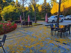 -庐山华微国际度假酒店-餐饮部