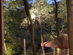 -巴倒烫陆派火锅山庄(南山总店)