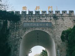 -宜兴龙背山森林公园