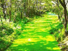 -长白岛森林公园