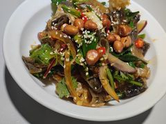 -鸽小宝(深圳首店)