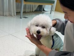 -帕帕拉兹宠物(亚洲旗舰店)