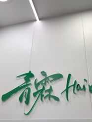 -青霖·飘逸造型