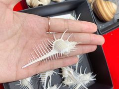 -摩登百货(岗顶店)