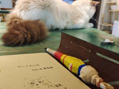 -喵喵咪呀布偶猫咖(春熙路店)